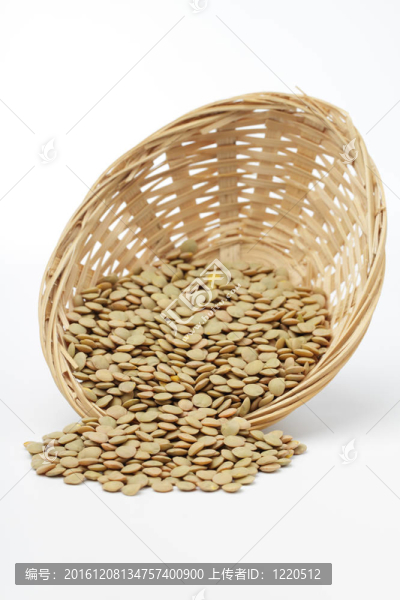 布朗扁豆
