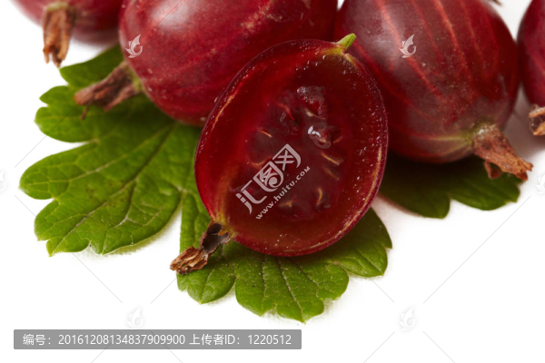 漿果醋栗