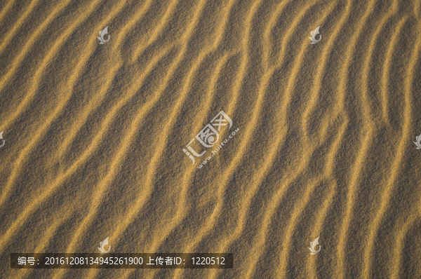 沙紋