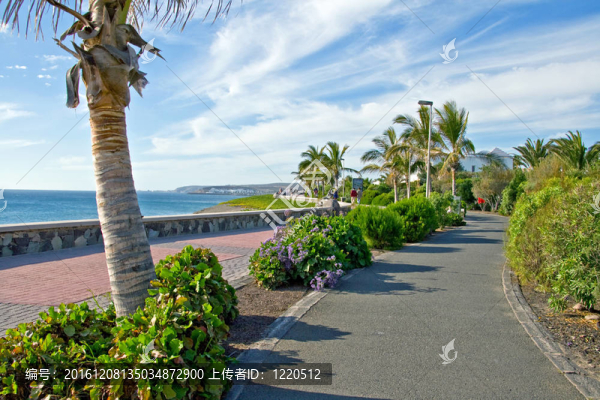 沿著海邊的海灘路