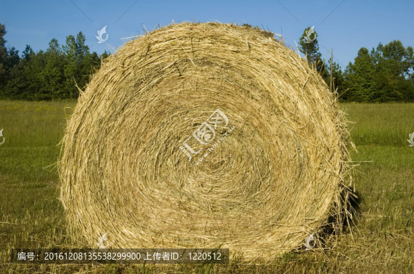 乾草堆