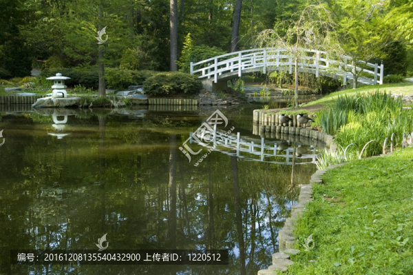 日本禪宗花園
