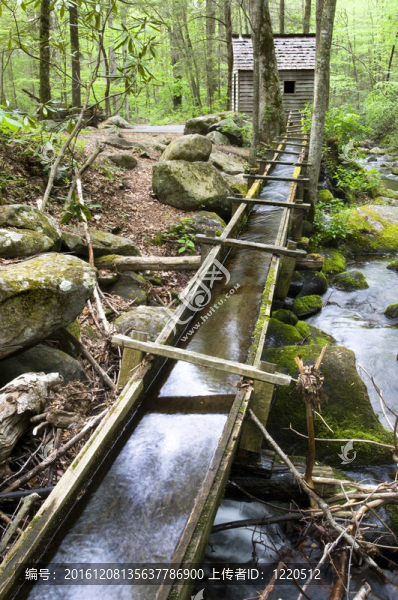 里根磨坊；煙山