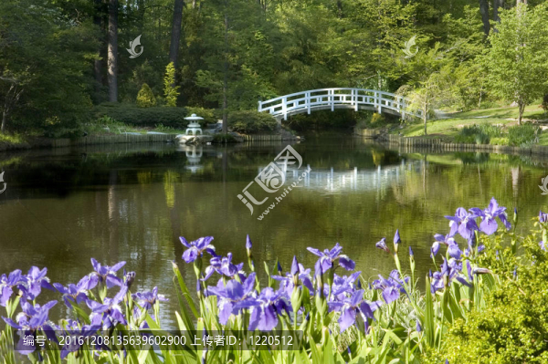日本禪宗花園