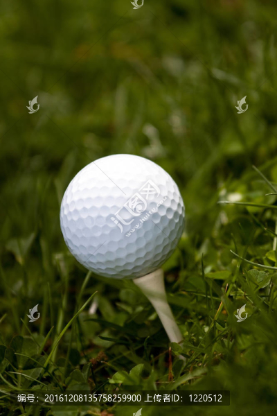 Golf,Ball和TEE