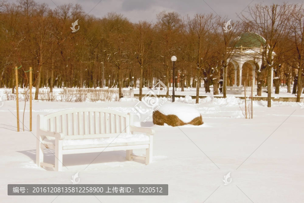 公園在冬天