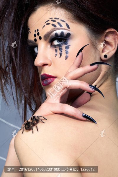 蜘蛛俠和spider,Brachypelma,smithi