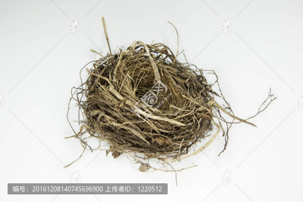 鳥巢