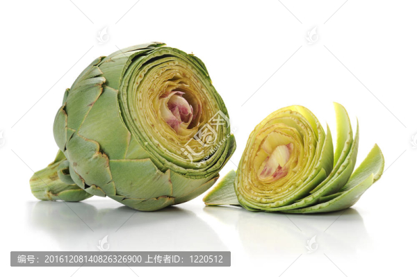 朝鮮薊