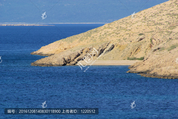 星星龜海灘09