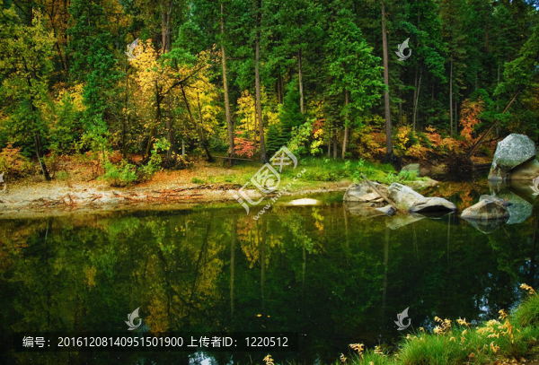 風景田園鄉(xiāng)村景觀
