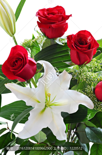 紅玫瑰和白百合花束