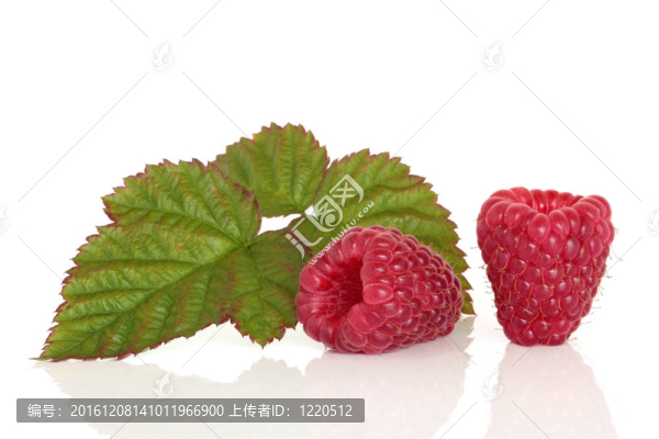 樹莓果實