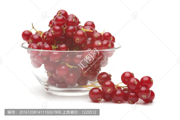 紅醋栗