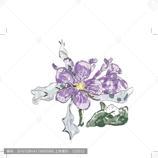 賈斯明花卉水彩