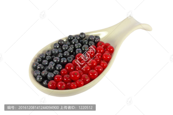 藍(lán)莓和黑醋栗