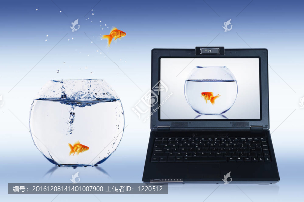 金魚和筆記本