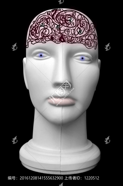 Mannequin,Head的大腦