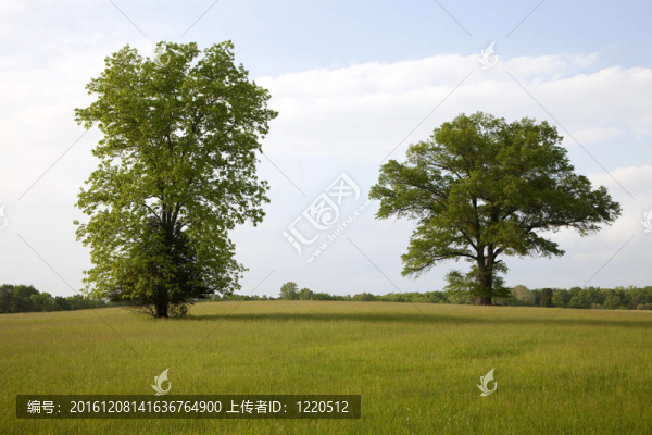 寧靜的風景