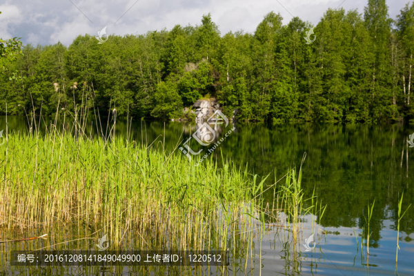 綠燈時(shí)間
