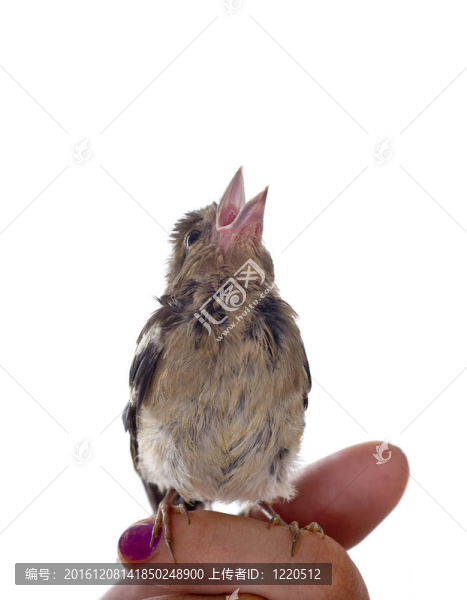 請(qǐng)求