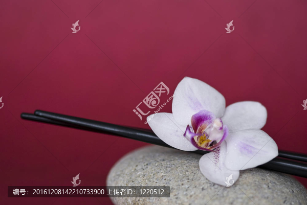蘭花