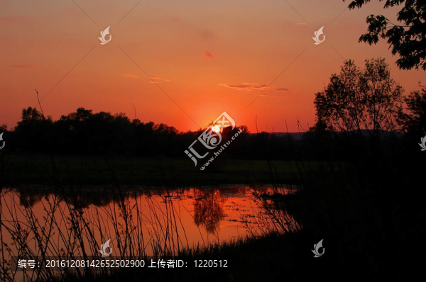 日落；湖泊；森林；木材；樹木；水；樹枝