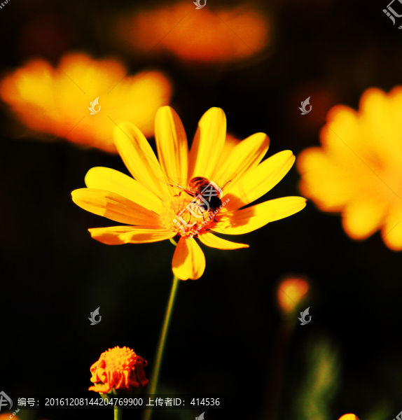 花