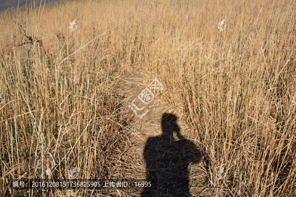 天目山自然保護(hù)區(qū)