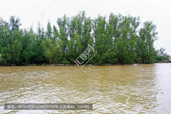 紅樹(shù)林保護(hù)區(qū)