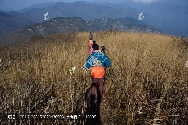 戶外登山,徒步
