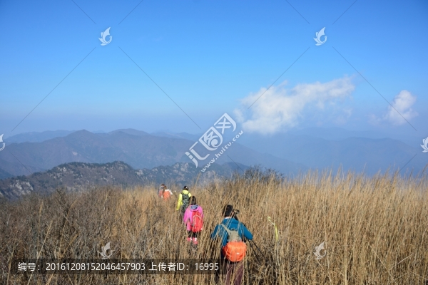 戶外登山,徒步