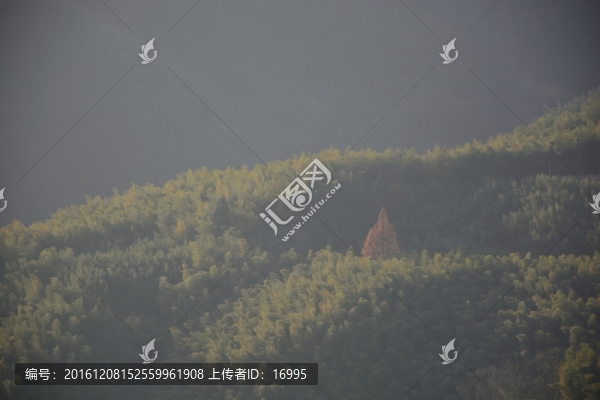 天目山自然保護區(qū)