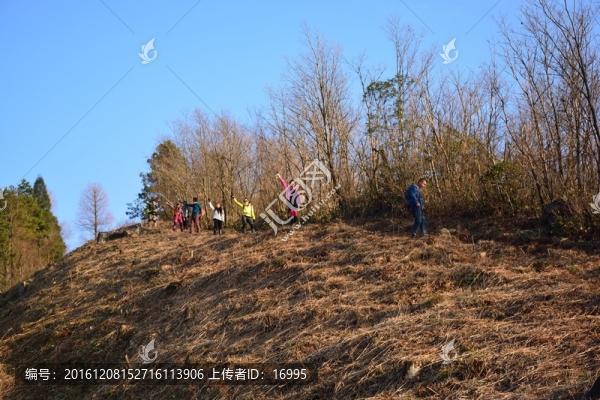 天目山自然保護(hù)區(qū)
