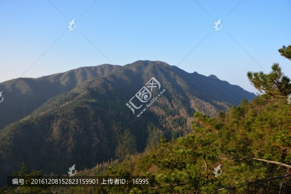 天目山自然保護(hù)區(qū)