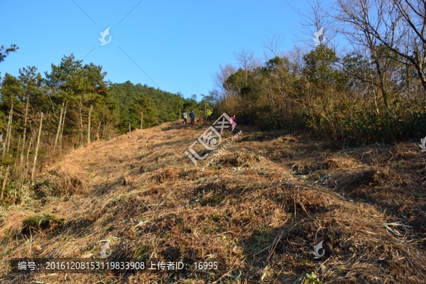 天目山自然保護區(qū)