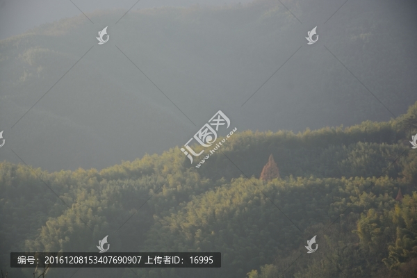 天目山自然保護(hù)區(qū)