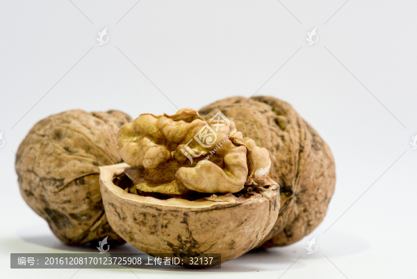 紙皮核桃高清