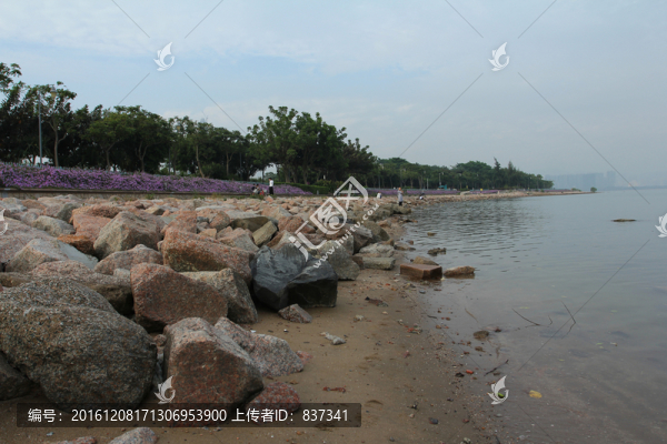 海岸