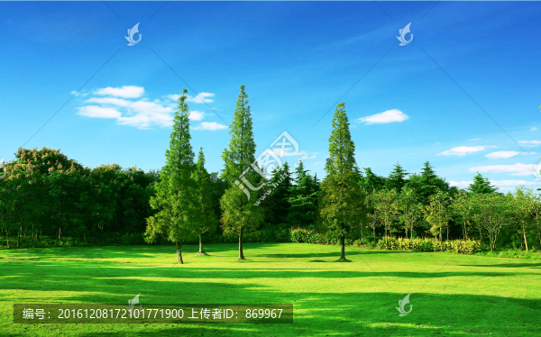 公園風(fēng)光