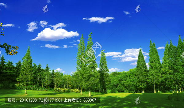 公園綠化環(huán)境