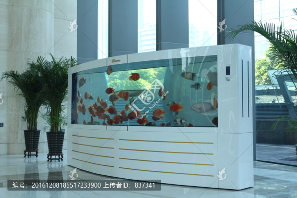 大魚缸