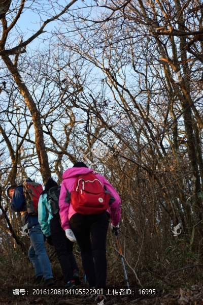 登山者