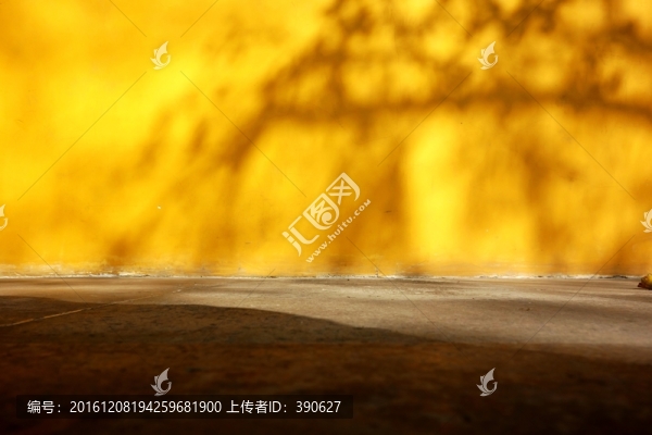 廟墻樹影