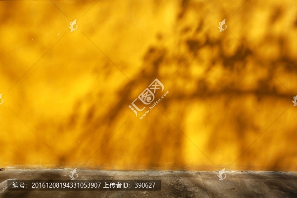 廟墻樹影