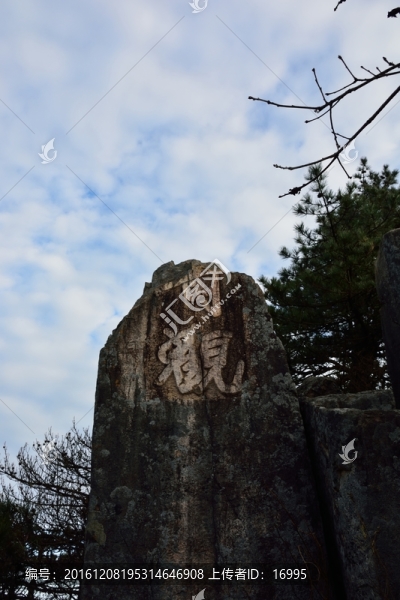 天目山自然保護(hù)區(qū)
