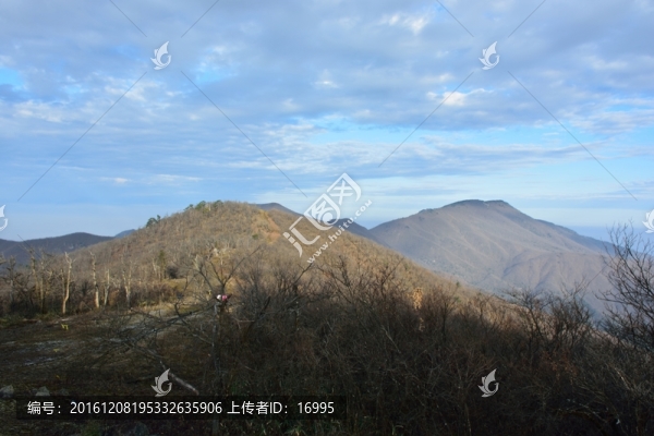 天目山自然保護(hù)區(qū)