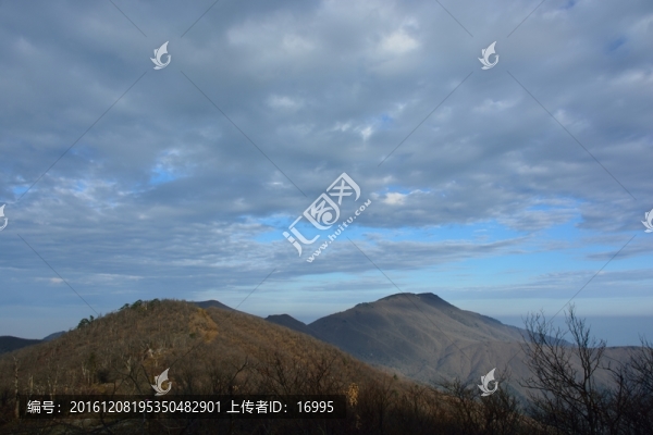天目山自然保護區(qū)
