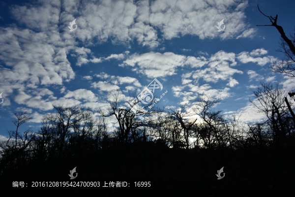 天目山自然保護(hù)區(qū)