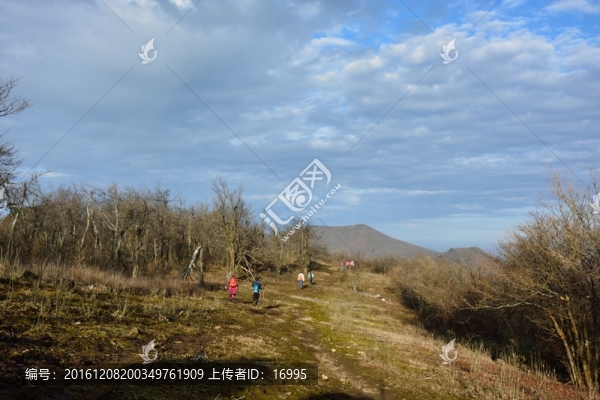 七尖,天目山